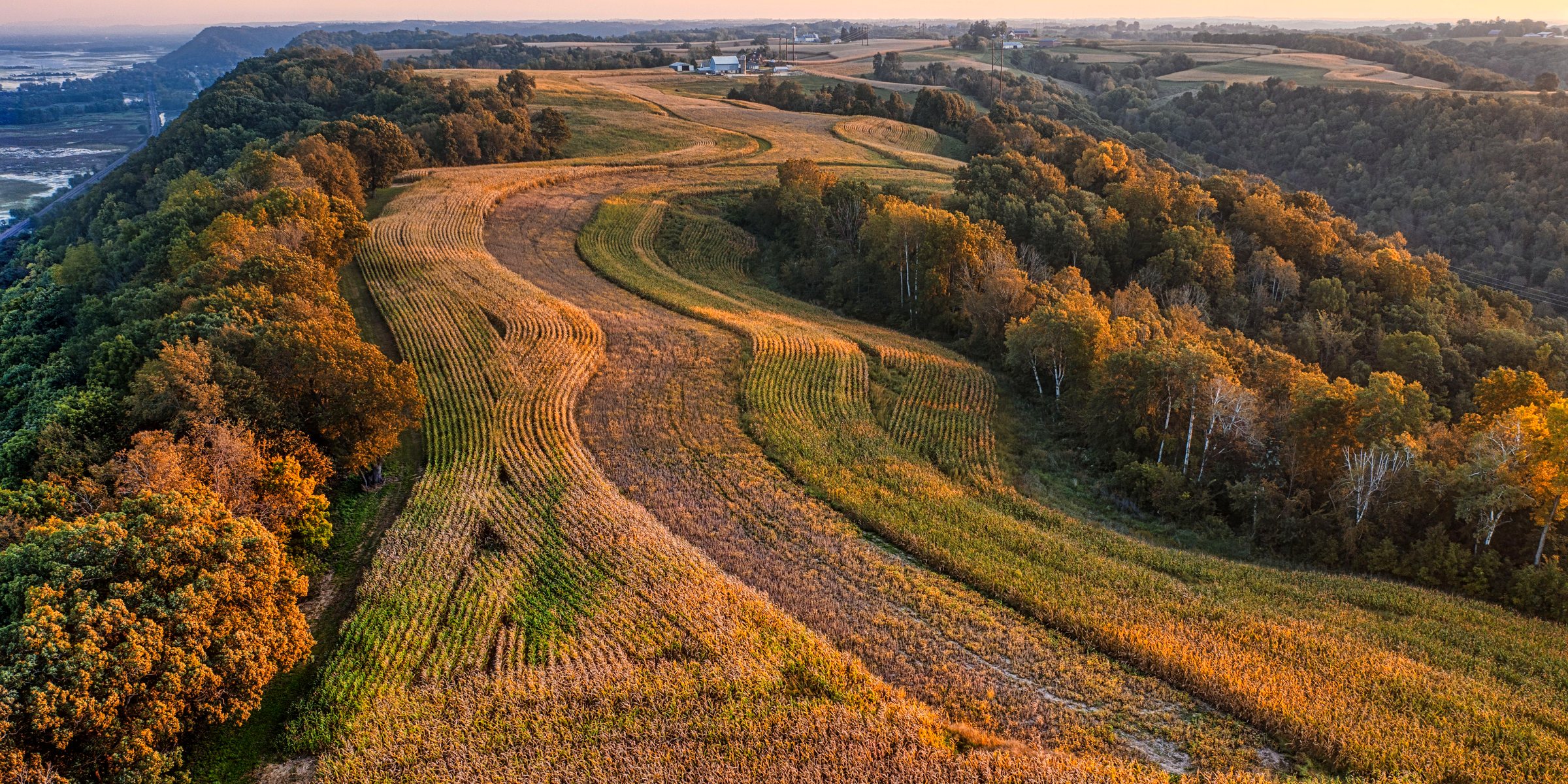 Rolling country in autumn, a road running along the ridge