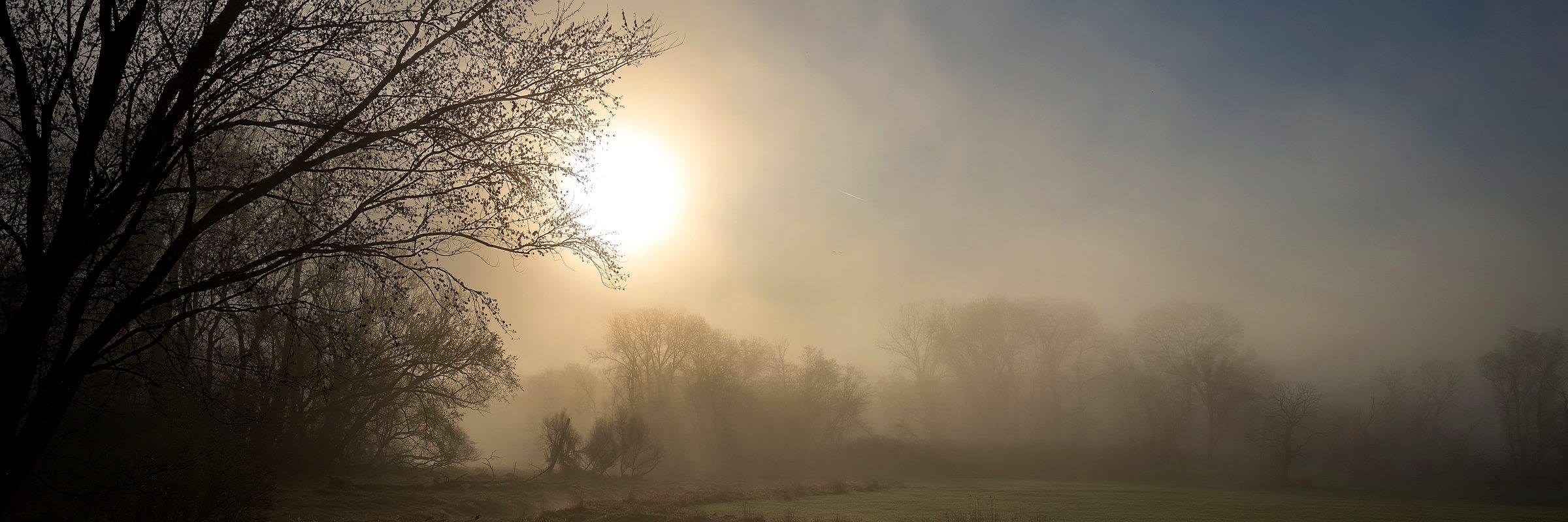 Sun burning through mist over a field